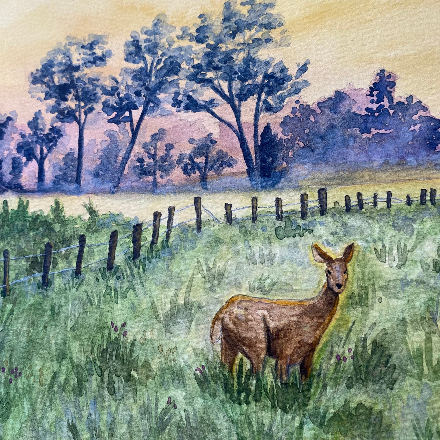 Deer in Meadow Landscape Wild Flowers at Dawn "Morning's Gentle Whisper" Watercolor Wall Art Prints By Sarah Webster Smith